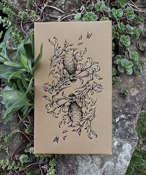 Oak, Ash & Thorn Tarot (Volume 1)
