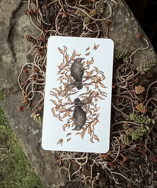 Oak, Ash & Thorn Tarot (Volume 1)