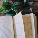 Prisma Visions Divination Diary