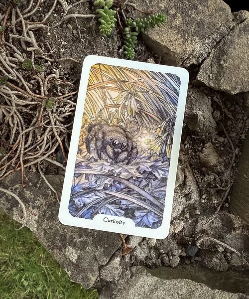 Thistledown Oracle - New Edition (Volume 4.1)
