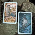 Thistledown Oracle - New Edition (Volume 4.1)