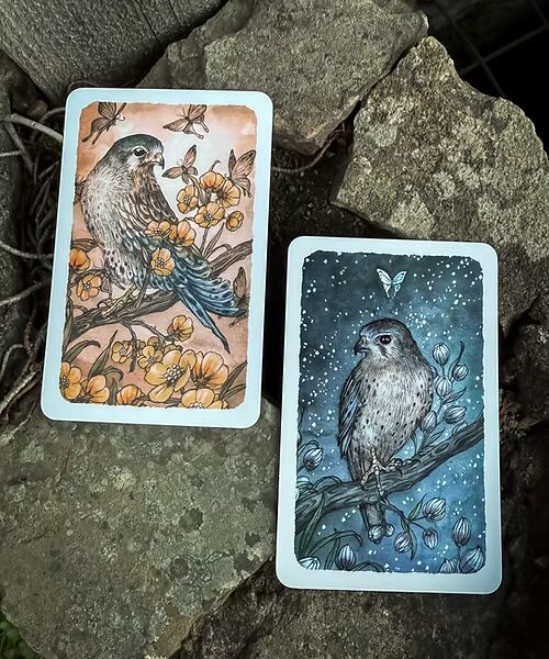 Thistledown Oracle - New Edition (Volume 4.1)