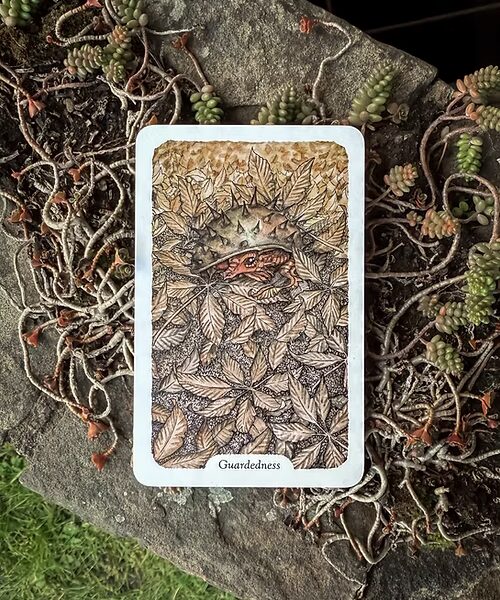 Thistledown Oracle - New Edition (Volume 4.1)