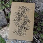 Thistledown Oracle - New Edition (Volume 4.1)