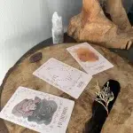 The Wild Wolf Tarot: Second Edition
