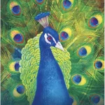 Wild Dreams Animal Oracle