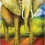 Wild Dreams Animal Oracle