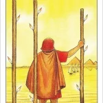 Beginner's Guide to Tarot