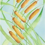 Black Seed Tarot