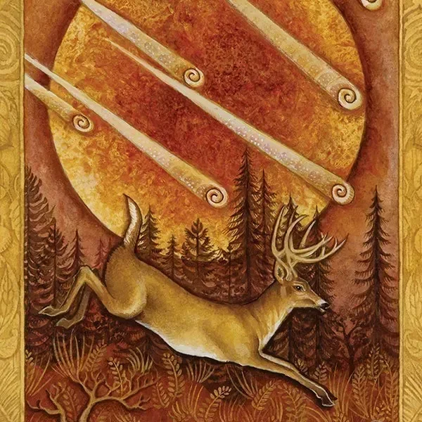 Chrysalis Tarot and Book Set