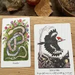 Phases and Forests Oracle