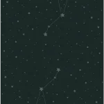 Star Maiden Tarot