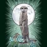 The Witch’s Familiar Runic Oracle