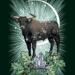 The Witch’s Familiar Runic Oracle