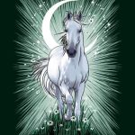 The Witch’s Familiar Runic Oracle