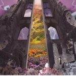 Work Your Light Oracle Cards