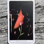 Death Doula Oracle