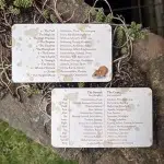 Heartwood Tarot