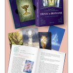 L'Oracle de Brocéliande - Coffret