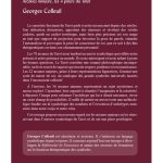 Tarot en mode mineur - Arcanes mineurs, les 4 piliers du Tarot