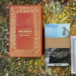 Ignis Arcanae - The Fire Tarot