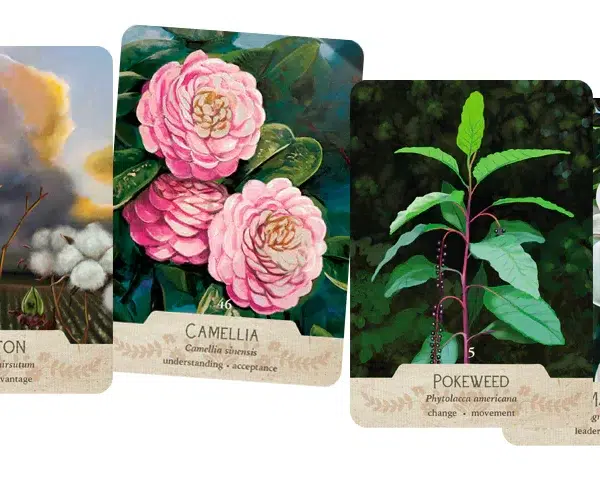 The Southern Botanic Oracle