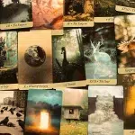 Bird King Tarot