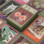 The Cat Oracle