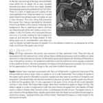 The Cook's Tarot