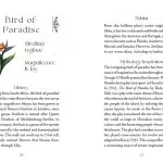 The Flowerwise Oracle