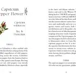 The Flowerwise Oracle