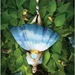 Tarot of Mystical Moments