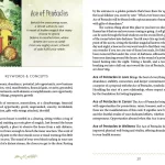 The Westwood Tarot