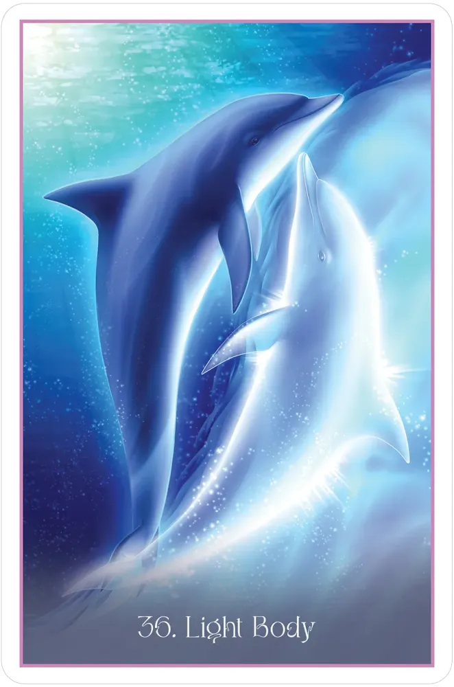 Whispers of the Dolphin Heart