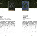 The Wild Elemental Oracle