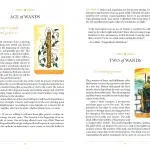 Steele Wizard Tarot: the Language of the Soul