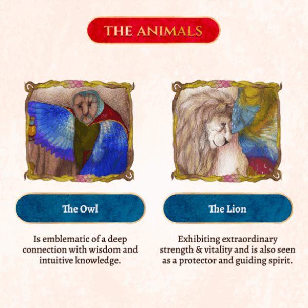 Anima Tarot de Marseille