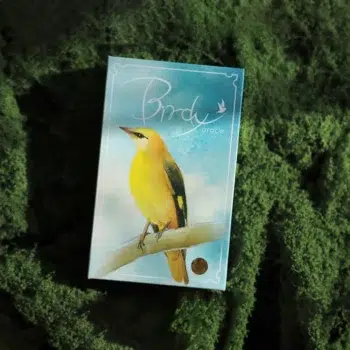 Birdy Oracle