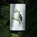 Birdy Oracle