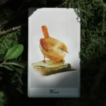 Birdy Oracle