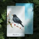 Birdy Oracle