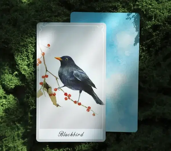 Birdy Oracle