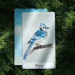 Birdy Oracle