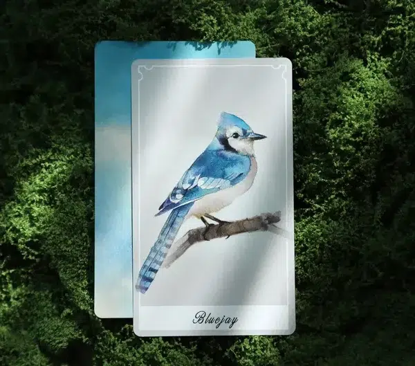 Birdy Oracle