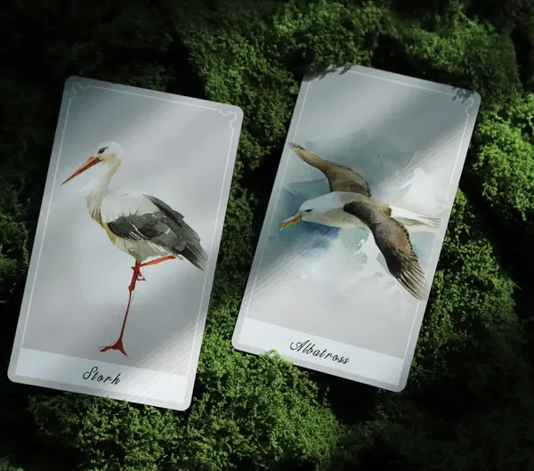 Birdy Oracle