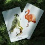 Birdy Oracle