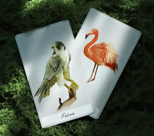 Birdy Oracle