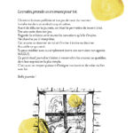 Magus 365 - Agenda Tarot