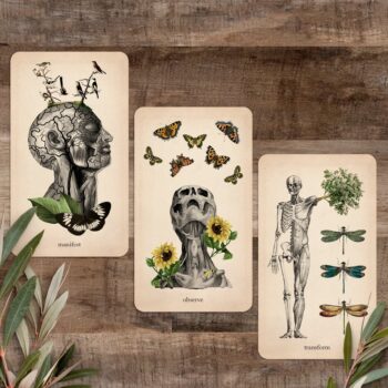 Oracle of Oddities 2