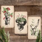Oracle of Oddities